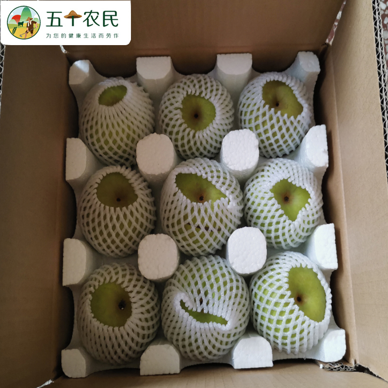 [五个农民]湖北省农科院百里洲砂梨精品金蜜脆梨5斤应季新鲜水果
