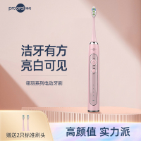 博皓声波电动牙刷家用成人款全自动牙刷学生党软毛牙刷情侣款男女通用电动牙刷 2421/T31