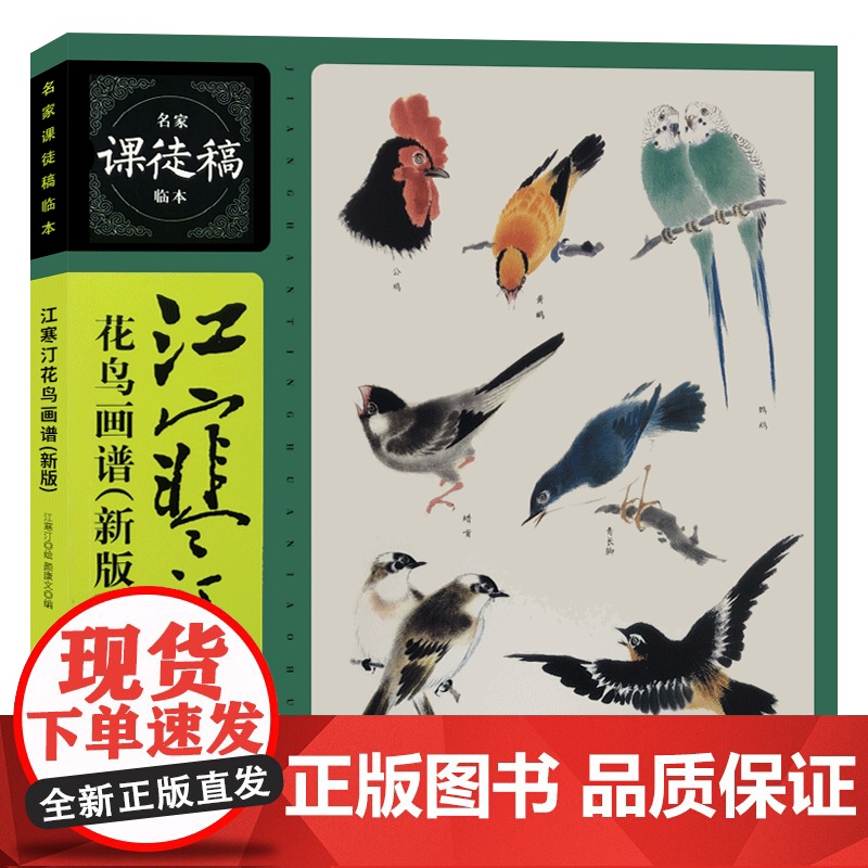 江寒汀花鸟画谱新版名家课徒稿临本 海派优秀禽鸟形态嘴眼脚爪翅尾头部画法花鸟顺序鹦鹉麻雀画眉鹌鹑燕子八哥 上海人民美术出版高清大图