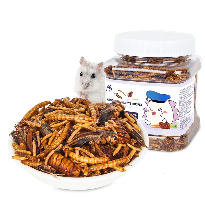 仓鼠粮食面包虫蚕蛹蟋蟀干非洲迷你刺猬零食主粮饲料食物高清大图