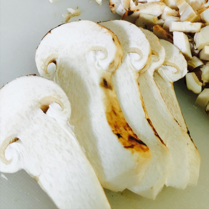 波得 香格里拉松茸新鲜上市 未开伞 (非干货)1000g 6-8cm 云南特产