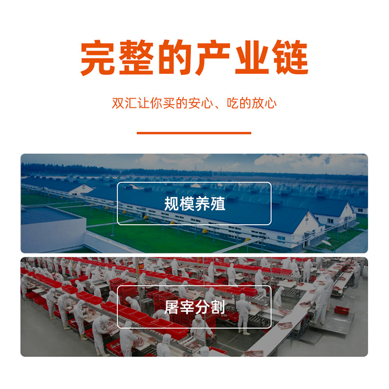 双汇 马可波罗 特级火腿肠 50G*5支*10袋 整箱装