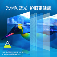 创维（SKYWORTH） 65H4 65英寸4K超高清智能网络语音全面屏液晶电视机 护眼防蓝光平板电视 手机投屏
