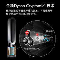 戴森(DYSON) TP06 除菌除甲醛空气净化风扇 整屋循环净化 兼具空气净化器功能 除菌除甲醛 白金色