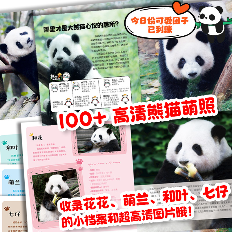 音像果赖!大熊猫张志和 编