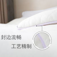 三斤新疆100%长绒棉棉被子缝边新疆手工棉花被芯新疆棉花被芯多忆绵眠