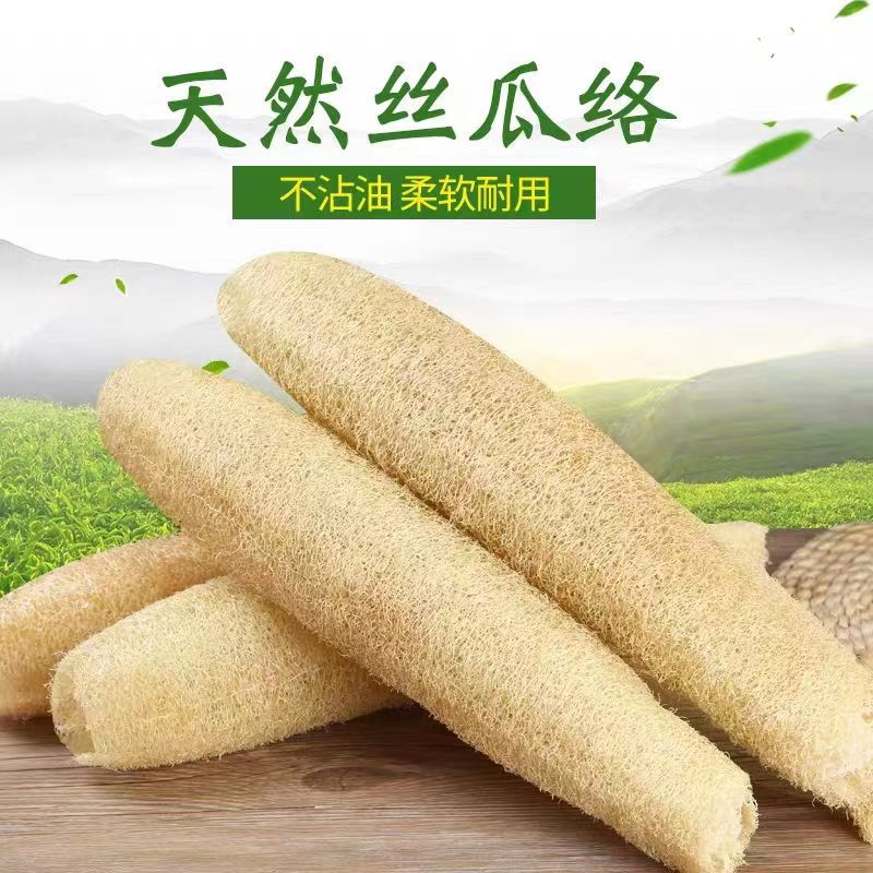 M259102户外刷碗刷