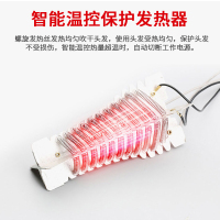 永日(YOURS)电吹风机家用大功率2100W冷热风专业吹风机低噪音恒温设计吹风筒 单集风嘴 6档调节