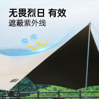 探险者(TANXIANZHE) 黑胶天幕帐篷户外防风防晒涂银野餐露营装备八角蝶形遮阳棚 TXZ-2121 颜色随机