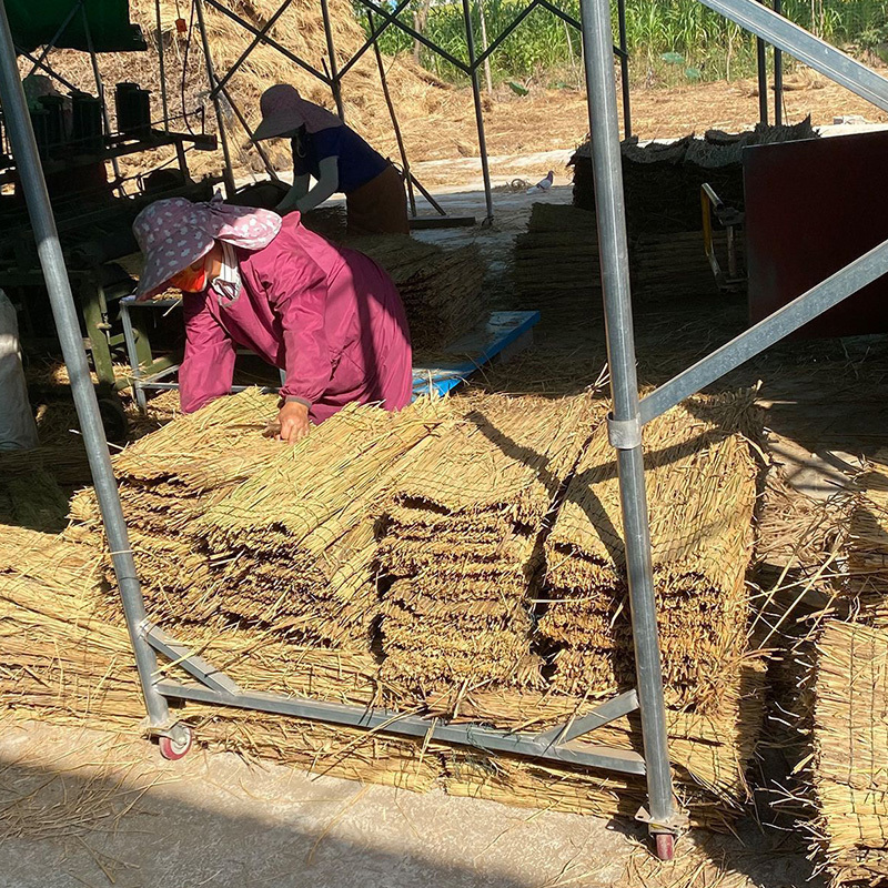 汇继 草垫子 50*100cm 卷高清大图