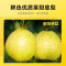 [买1送1同款]北京同仁堂慈梨膏棒棒糖莱阳手工梨膏糖秋季便携秋梨膏棒棒糖