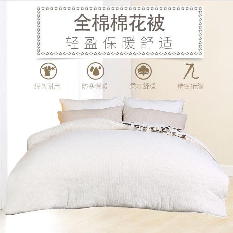 伊伊爱 BZ0BZF2100891 200*230cm猫生活 猫生活秋冬被 1.00 件/条 (计价单位:条) 白色图片