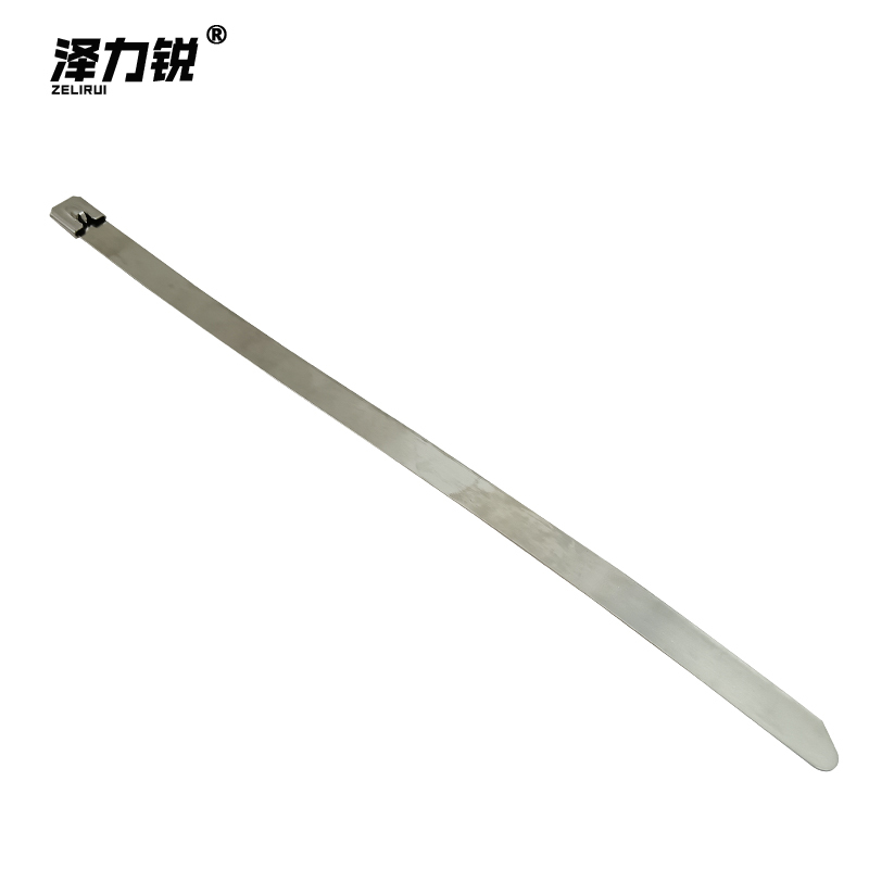 泽力锐 不锈钢扎带 12x300mm 根