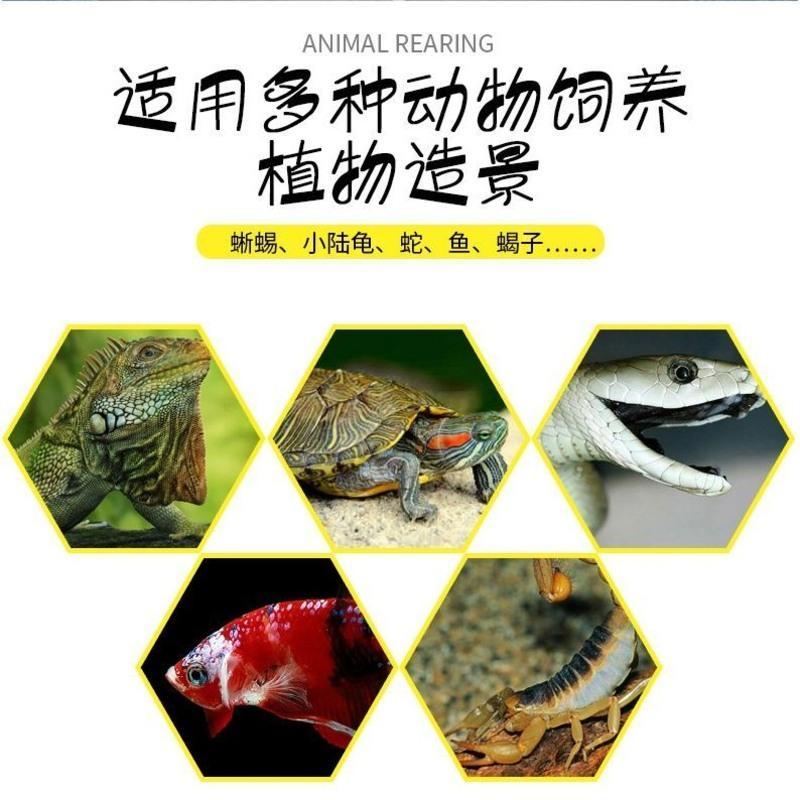 200*200*160mm(BT01 半水龟陆蜥蜴蛇守宫寄居蟹玻璃缸箱角蛙仓鼠笼爬宠超白防逃逸套餐