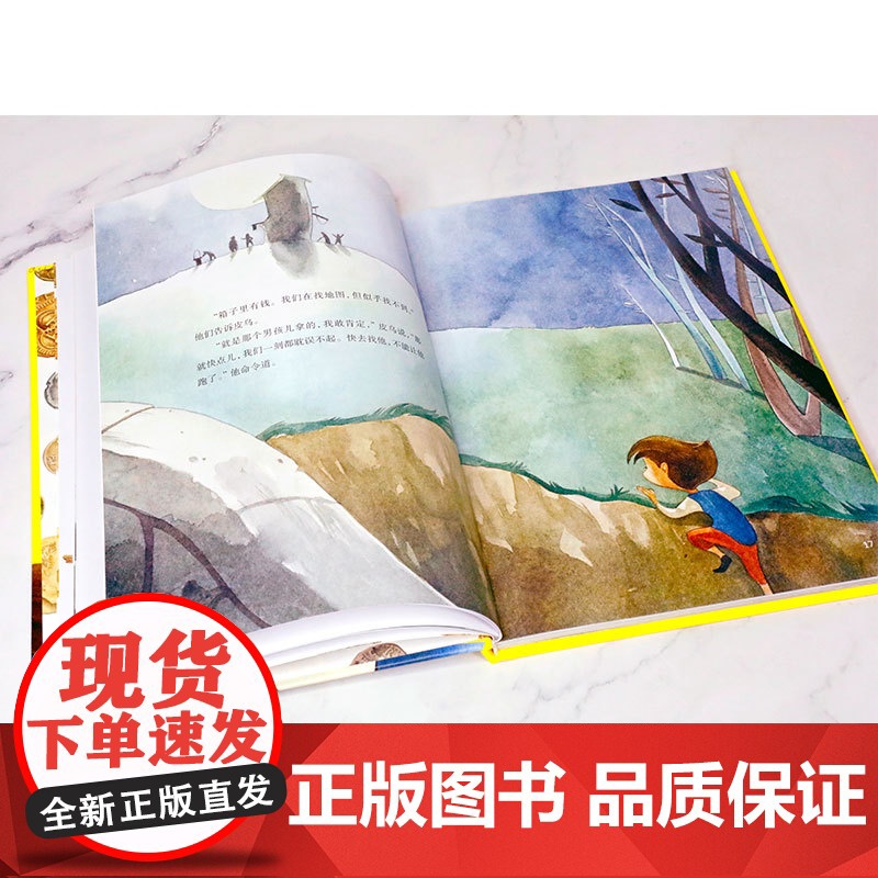 世界经典名著绘本 金银岛 儿童文学 小学生课外阅读高清大图
