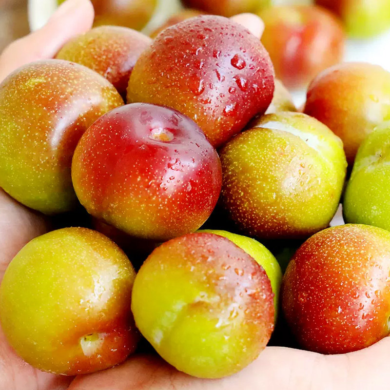 [一贤生鲜]四川新鲜茵红李 3斤装 新鲜李子 酸甜可口 西沛