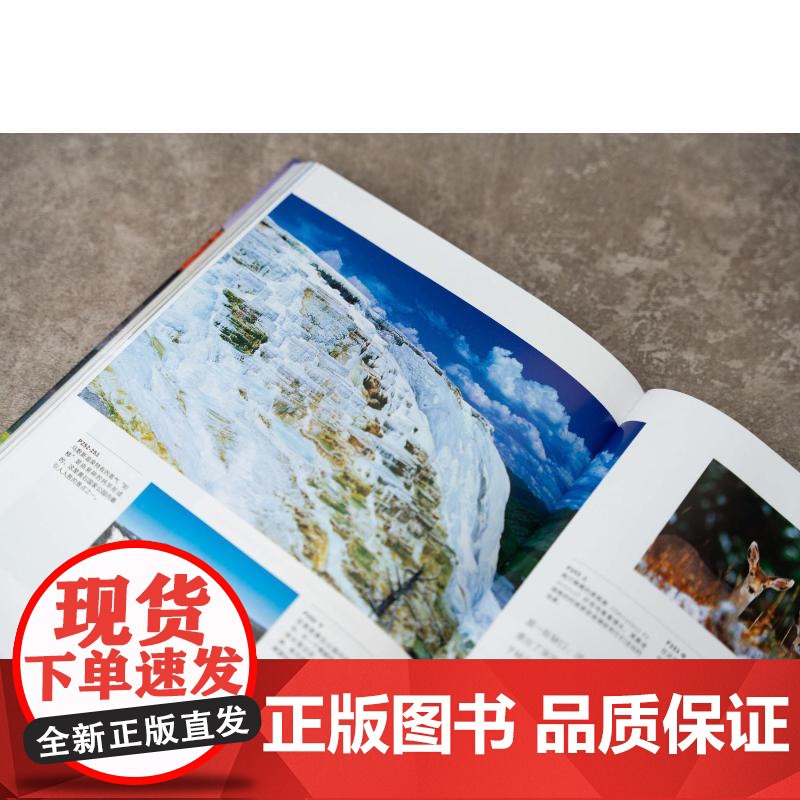 美丽的地球 国家公园 (意)安吉拉 社科 旅游 科普读物其它 正版图书籍湖南科学技术出版社高清大图