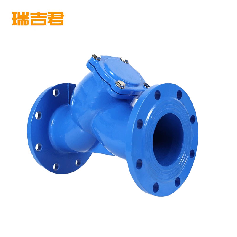 瑞吉君 铸铁法兰Y型过滤阀 DN200 个