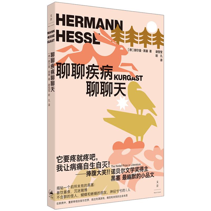 聊聊疾病聊聊天 [正版]聊聊疾病聊聊天 2024百班千人暑期书目赫尔曼黑塞名著世纪文景文学散文诺贝尔文学奖得主德国散文图高清大图