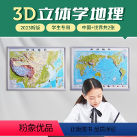 [正版]共2张中国和世界地图3d凹凸立体地形图 约43cm*32cm 小学中学初中学生学习地理地貌地形 办公室家用墙贴