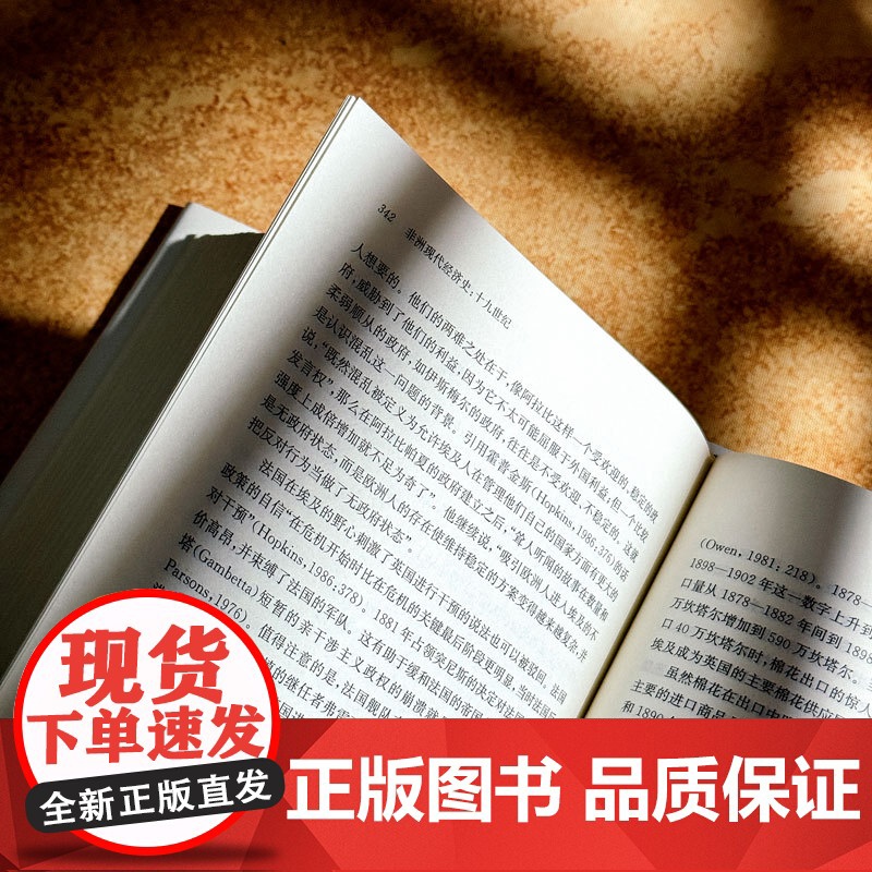 非洲现代经济史 十九世纪 六点非洲系列 精装 非洲历史研究 华东师范大学出版社高清大图