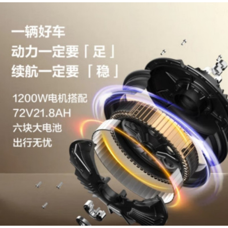 北向望星 电动摩托车 大电池高功率