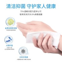 健美创研75%酒精消毒湿巾(50抽)男女性湿纸巾杀菌消毒抑菌卫生一次性擦手巾