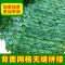 仿真植物墙装饰栅栏篱笆绿叶庭院围栏阳台隔断遮挡假绿植吊顶花草 新款纯黄色绿萝送扎带送蝴蝶 1米*50厘米