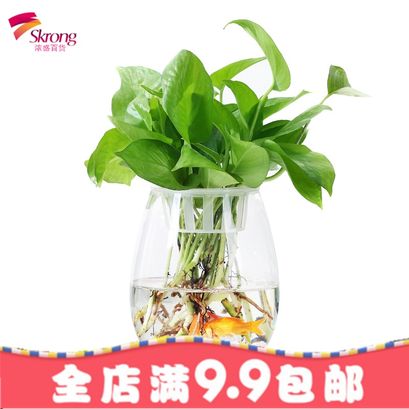 创意大号透明玻璃欧式花瓶 桌面水培绿萝观音竹花瓶鱼缸容器摆件