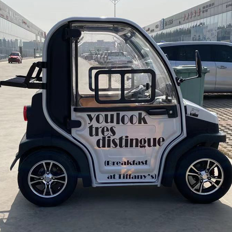 大阳洋款成人电动四轮新能源代步家用观光国标电瓶锂电女士轿汽车参数