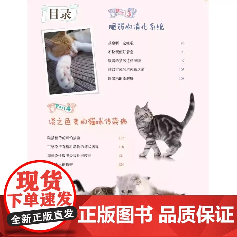宠物猫常见问题家庭处置及护理 我的宠物书 猫咪养护入门 养猫指南 猫奴进阶 猫咪健康护理 猫咪行为心理分析 专业的养猫参高清大图