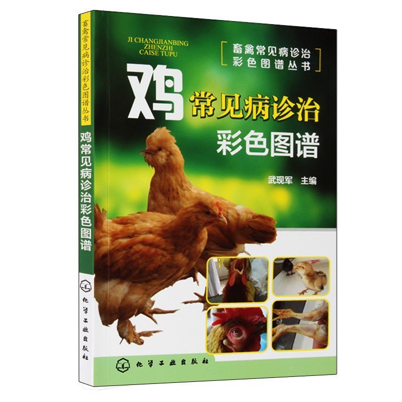 [正版]山林果园散养土鸡新技术+鸡常见病诊治彩色图谱 养鸡技术书及用药散养鸡饲料手册鸡病鉴别诊断图谱大全蛋鸡肉鸡高效养高清大图