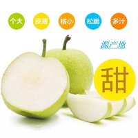 绿宝石梨翠冠梨皇冠梨梨子苹果梨5斤装约5-9个