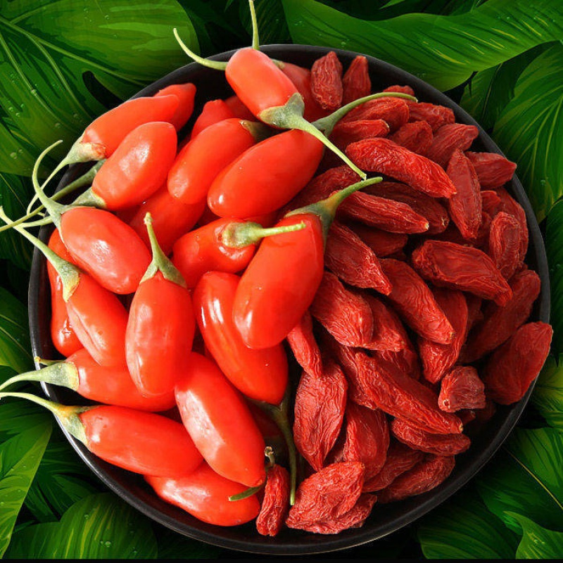 免洗特级大果250g 新货枸杞子包装宁夏中宁特级头茬枸杞干100g收藏店