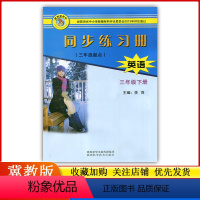 英语 [正版]2023小学3/三年级下册英语同步练习册配冀教版/陕西科学技术出版社小学生英语三年级起点练习题作业本专项同