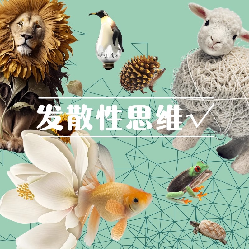 单本全册 [正版]争霸美育动物照片少儿美术课堂 2023当下少儿高清大图