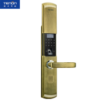 亚太天能(TENON)智能指纹锁 锌合金家用指纹密码锁电子门锁 T8 青古铜