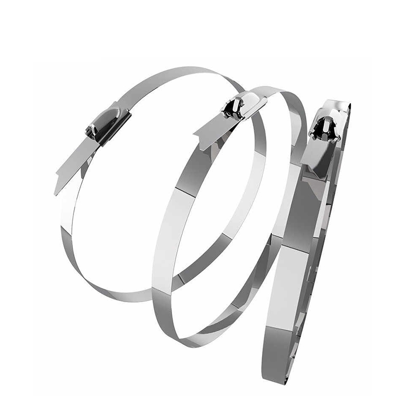 万梓 不锈钢扎带 10*700mm 根高清大图