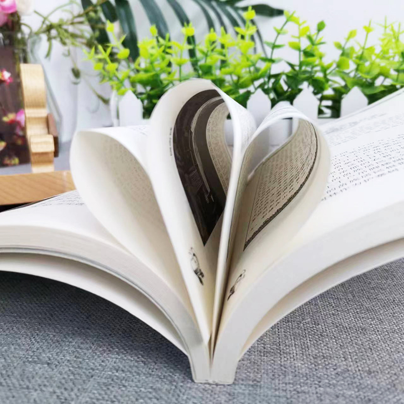 [正版]中国古村落 韩霞 编著 中国传统民俗文化文化系列中国社会学经典文库 现代城市社区村落城中村变迁与改造社会学城市高清大图