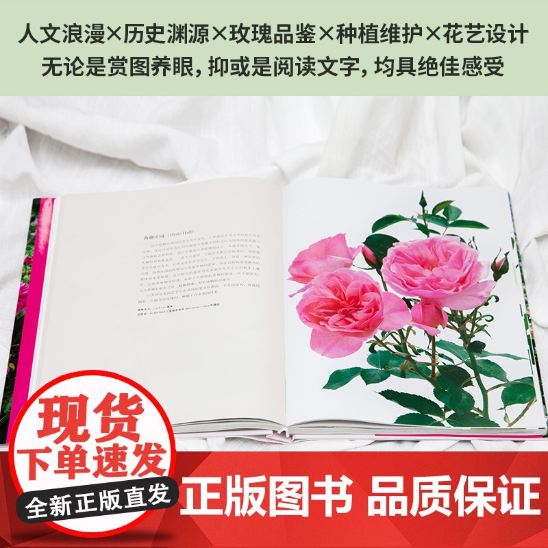 大卫·奥斯汀 迷人的英国玫瑰:世界现代玫瑰之父和他的100种经典之作高清大图