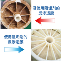 慕莱(Mooly)DH-693反渗透阻垢剂