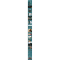 正版新书]百年孤独 插图纪念版(哥伦比亚)加西亚·马尔克斯 著 范