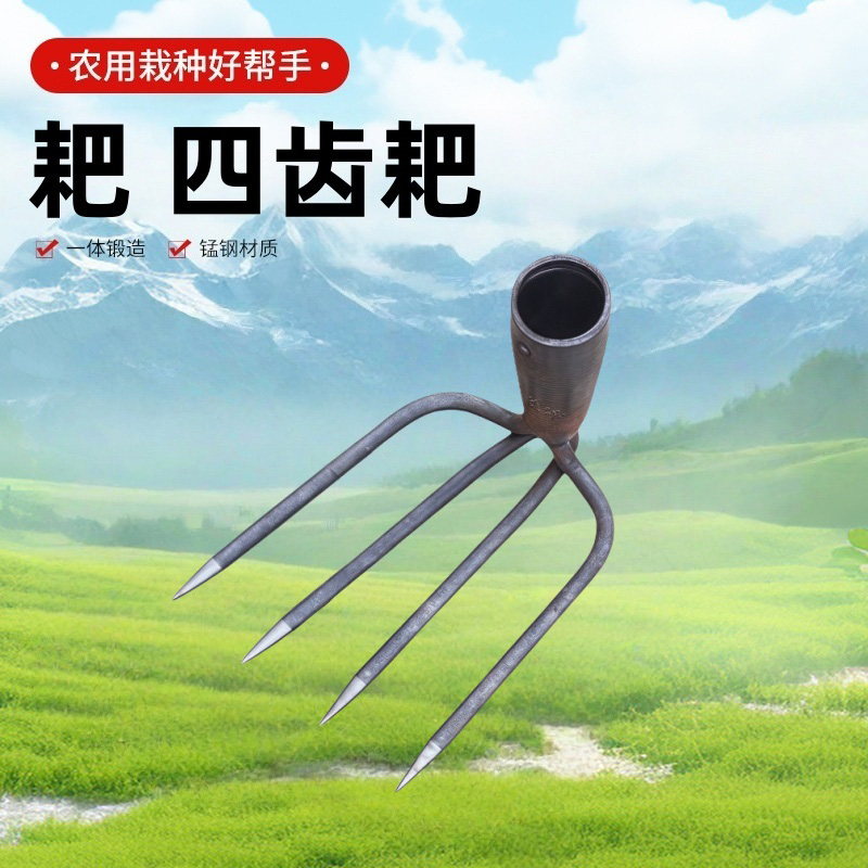 铁洋 耙 四齿耙 小款4齿耙 不带柄 个高清大图