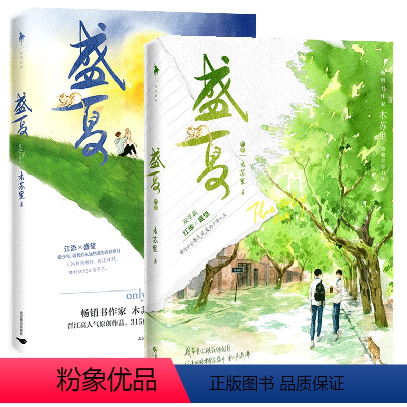 [正版]盛夏 全2册 木苏里 晋江高人气原创作品 双学霸 江添×盛望 带你回首意气风发的少年人生 青春都市言情小说磨铁图
