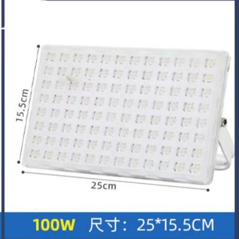 RDZM LED投光灯 RD9020 三防照明灯100W