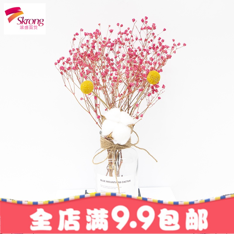 ins风透明玻璃花瓶北欧创意清新欧式简约客厅干花插花摆件玻璃小