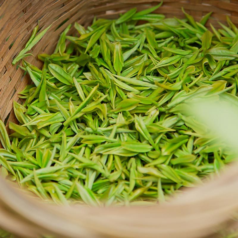 艺福堂(EFUTON)安吉白茶特级100g/罐