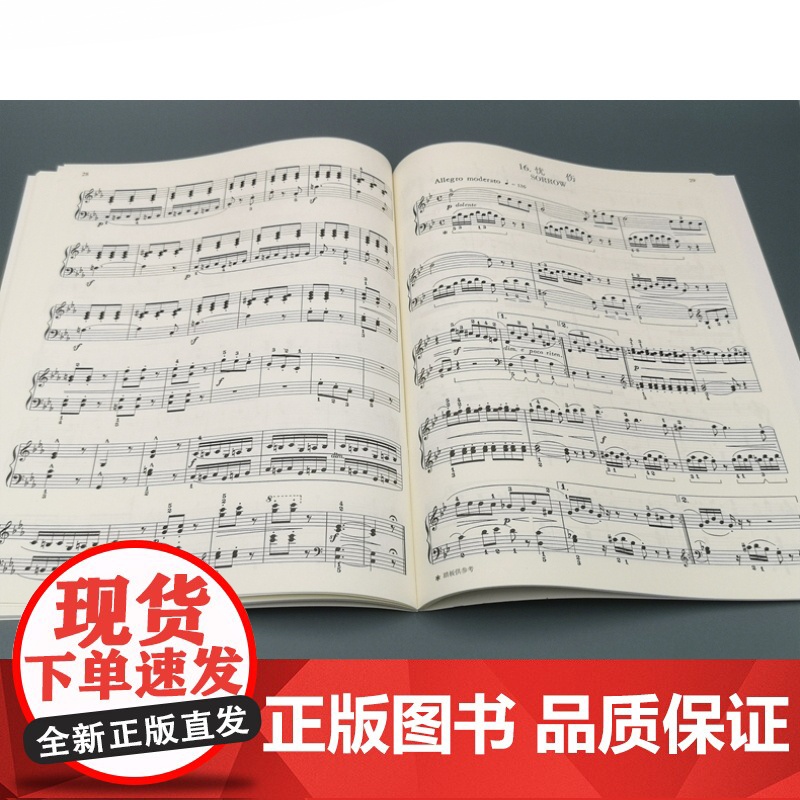 布格缪勒25首钢琴进阶练习曲作品100 扫码听音频 威拉德阿帕尔默 浪漫派钢琴 正版图书籍 上海音乐出版社 世纪出版高清大图