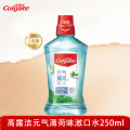 高露洁高露洁漱口水250mL（元气薄荷）