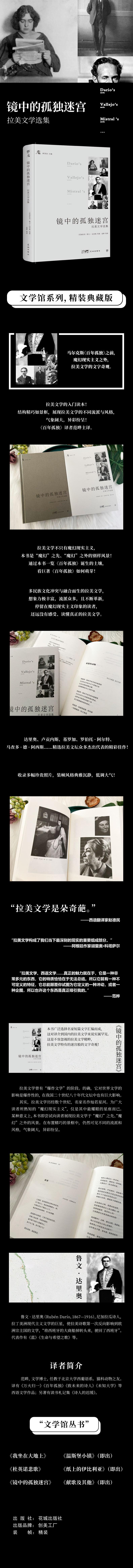 镜中的孤独迷宫 拉美文学选集